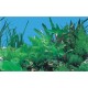 Фон для аквариума двухсторонний высота 60 см