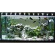 Оформление аквариума от 200 до 500 литров